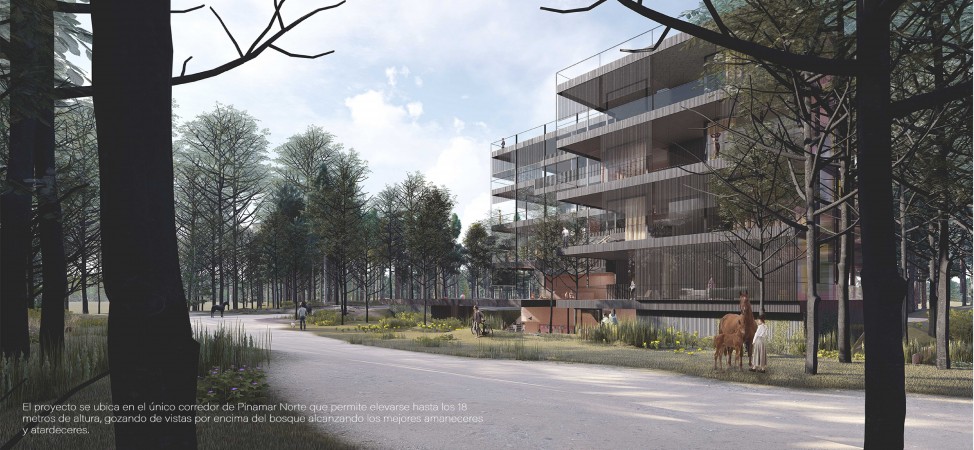 PROYECTO NATIVA, PINAMAR NORTE LA FRONTERA, DEPARTAMENTOS PREMIUM