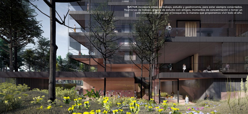 PROYECTO NATIVA, PINAMAR NORTE LA FRONTERA, DEPARTAMENTOS PREMIUM