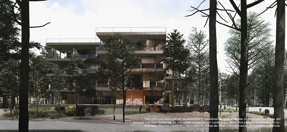 PROYECTO NATIVA, PINAMAR NORTE LA FRONTERA, DEPARTAMENTOS PREMIUM