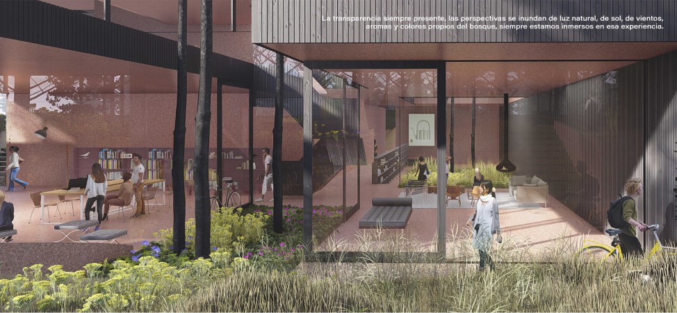 PROYECTO NATIVA, PINAMAR NORTE LA FRONTERA, DEPARTAMENTOS PREMIUM