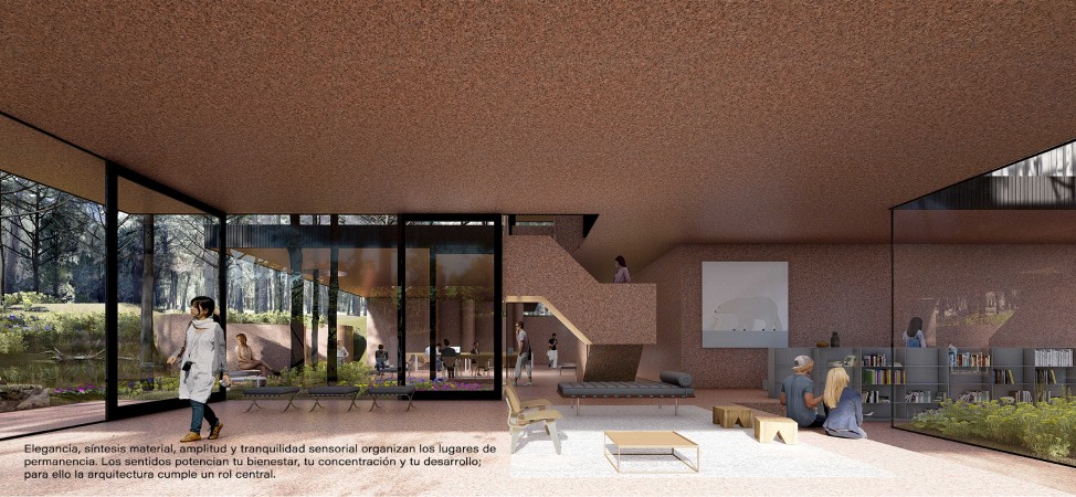 PROYECTO NATIVA, PINAMAR NORTE LA FRONTERA, DEPARTAMENTOS PREMIUM