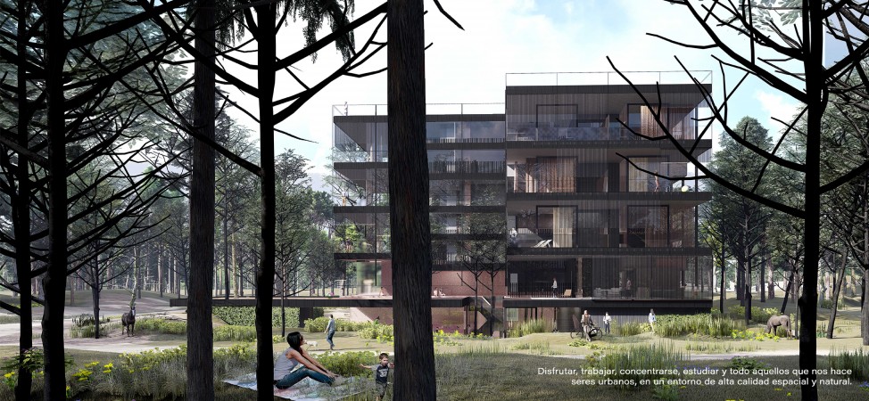 PROYECTO NATIVA, PINAMAR NORTE LA FRONTERA, DEPARTAMENTOS PREMIUM